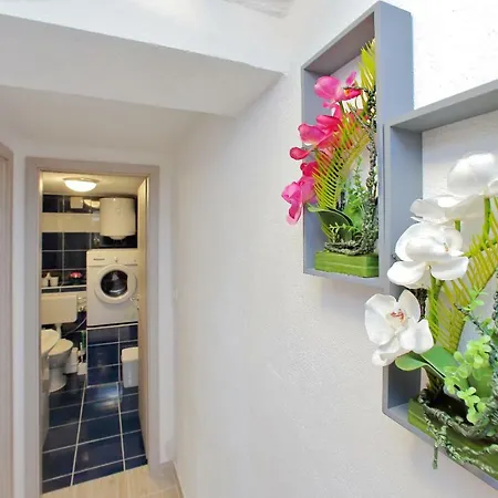 Apartman David