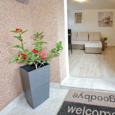 Apartman David Apartment Bibinje
